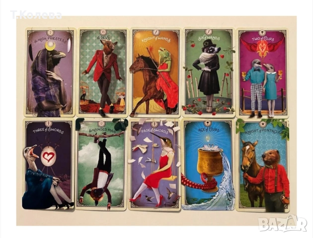 Таро на любопитните същества, снимка 2 - Езотерика - 54270143