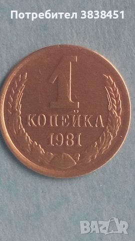 1 копейка 1981 года Русия, снимка 1 - Нумизматика и бонистика - 45636041