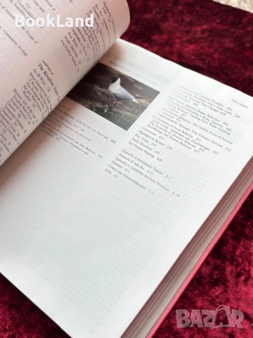 The nature of life, снимка 12 - Художествена литература - 53948126