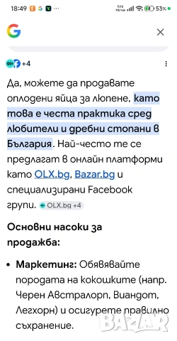 Продавам Яйца за люпене на Декоративни Пилета, снимка 3 - Кокошки и пуйки - 54082712