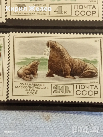 Стари пощенски марки чисти без печат СССР редки за КОЛЕКЦИЯ ДЕКОРАЦИЯ 52005, снимка 7 - Филателия - 53217436