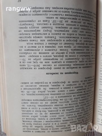 декоративни растения в училището, снимка 3 - Градински цветя и растения - 45632758