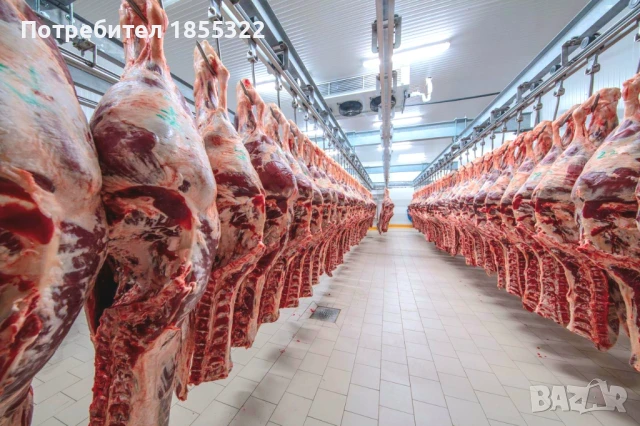 Работа във Великобритания , снимка 2 - Работа в Англия - 51430542