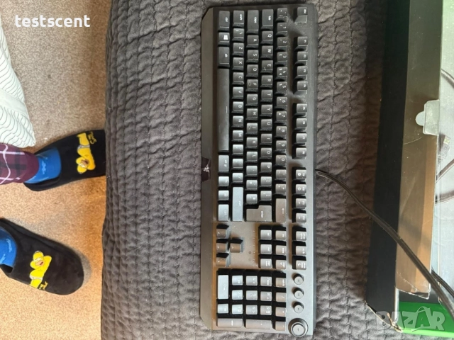 Механична геймърска клавиатура Razer BlackWidow Elite отлично състояние gaming keyboard, снимка 3 - Клавиатури и мишки - 53001797