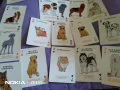 Карти пластик 52 +3 нови маркови на Dog Lovers -картите са на породи кучета-в мет.кутия, снимка 10