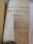 Антикварен медицински атлас по Анатомия (1875 г.) – Dr. Heitzmann 1875 год. , снимка 1