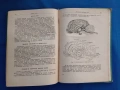 Физиология на селскостопанските животни с основи на анатомията , снимка 3