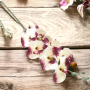 Стрък страхотна декоративна Орхидея//90 см.//двуцветна, снимка 1 - Изкуствени цветя - 44950689