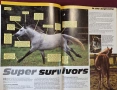 Илюстриран справочник - коне и понита / The Complete Guides to Horses and Ponies, снимка 4