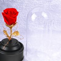Роза в стъкленица с LED светлина, снимка 2 - Лед осветление - 45401069