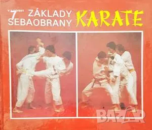 Karate-V. L. Levsky, снимка 1