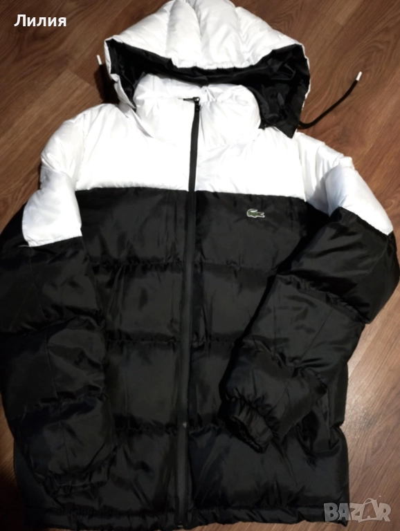 Зимно яке Лакоста, снимка 1