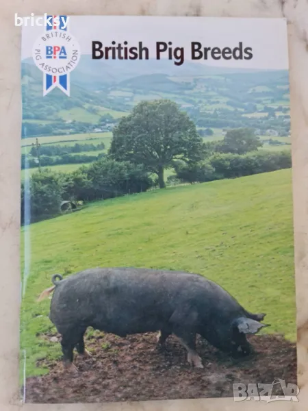 British pig breeds handbook, снимка 1