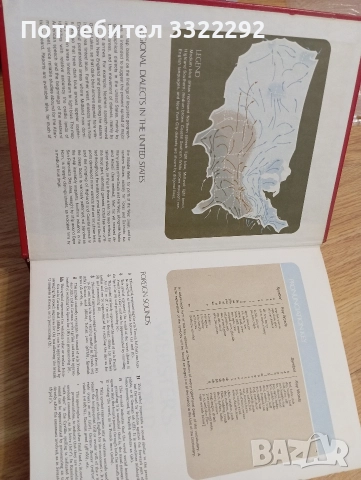 Webster’s New World Dictionary of American English, снимка 4 - Чуждоезиково обучение, речници - 52790819