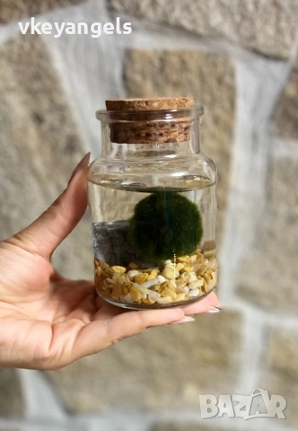 Маримо-топка на мечтите, снимка 5 - Подаръци за жени - 51866871