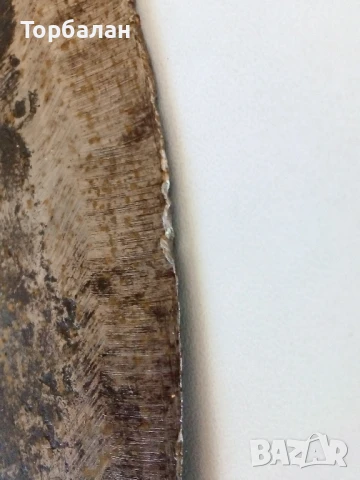 Малка брадва от соц-а, снимка 14 - Други стоки за дома - 50591675