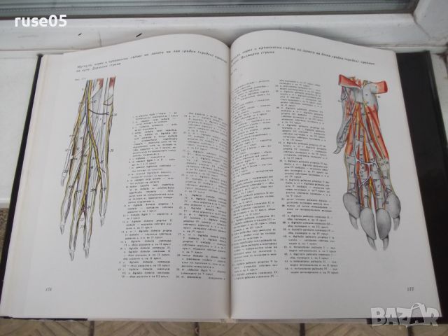 Книга"Атлас по топографска анатомия-III том-П .Попеско"-206с, снимка 8 - Специализирана литература - 45324575