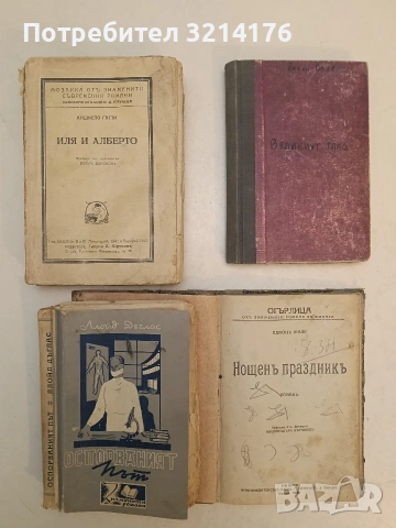 Великият глад - Йохан Бойер (1925), снимка 2 - Художествена литература - 54280425