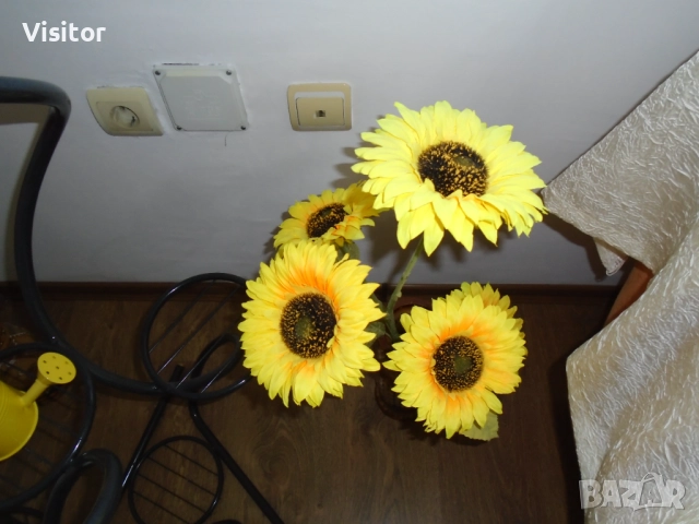 Sony Cyber-shot DSC-W800   20.1МРх, снимка 10 - Фотоапарати - 52805253