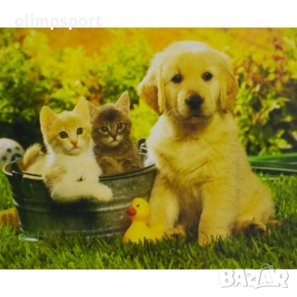 Комплект за рисуване по номера. 27014419 