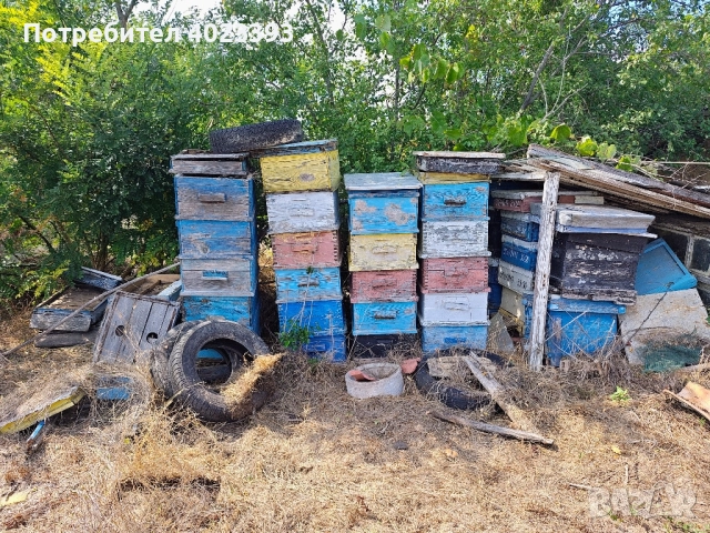 кошери - разпродажба с. Круша, общ. Аврен, снимка 4 - За пчели - 49250642