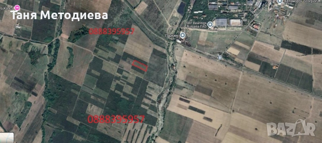 Лозе Червен Карловски Мискет – 2×7.174 дка, плододаващо, 21 реда × 200 м, до кв. Анево – Сопот