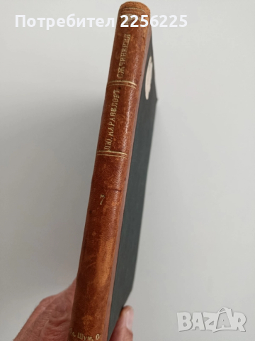 Повести и разкази на Любен Каравелов 1887г ( том 7 ), снимка 10 - Художествена литература - 52564936