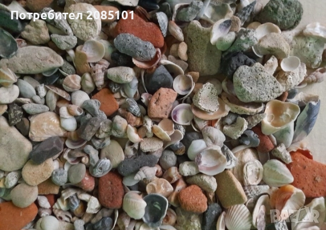 Морски мидички и камъчета, снимка 12 - Други стоки за дома - 52146747