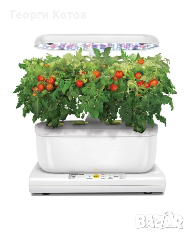 Домашна градина отглеждане на билки AeroGarden