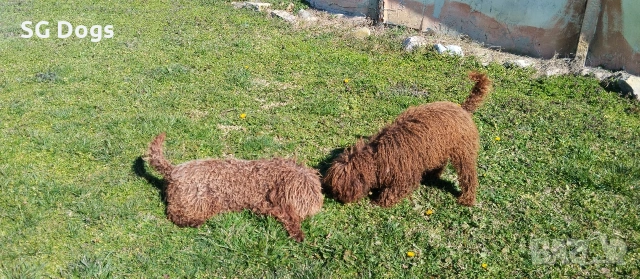 продавам лагото, снимка 5 - Други - 53779021