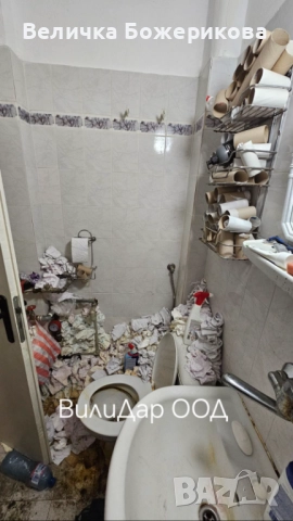 Хамалски услуги , снимка 3 - Хамалски услуги - 52119197