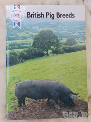 British pig breeds handbook, снимка 1 - Специализирана литература - 49026573