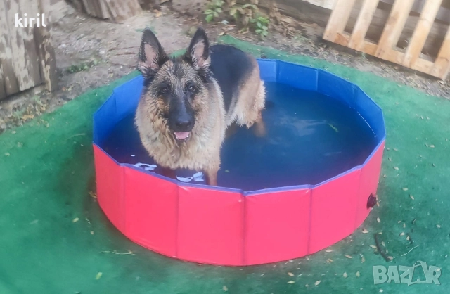 Хотел за кучета - Игри на воля , снимка 15 - Други услуги - 52645885