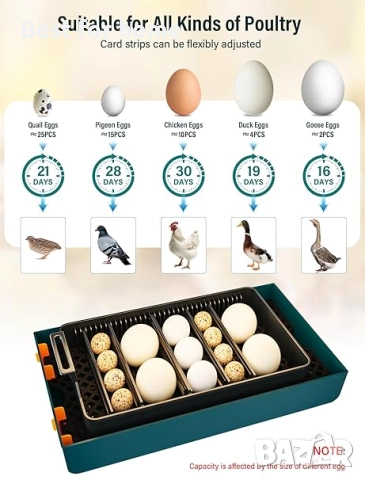 Напълно автоматичен инкубатор за кокошки, 10 яйца от Aissom, снимка 5 - За селскостопански - 51485707