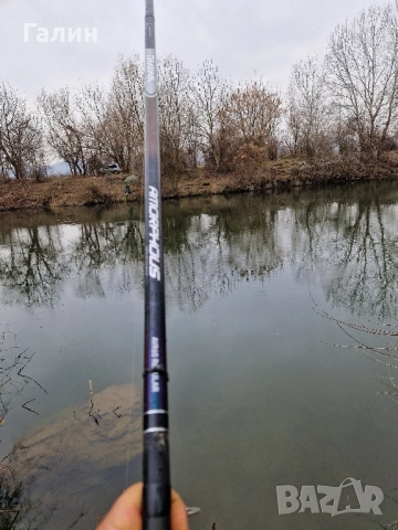 DAIWA Amorphous Bolo REGULAR 6м., снимка 9 - Въдици - 52033954