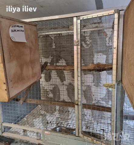 Клетки , снимка 2 - Папагали - 53578385