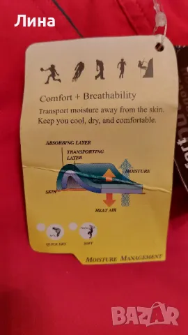 Дамски туристически панталон Direct Alpine, размер М, снимка 5 - Панталони - 50414925