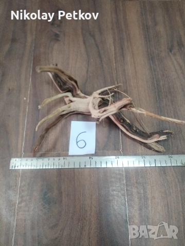 Корени за аквариум, терариум, паладиум , снимка 6 - Аквариуми - 44083269