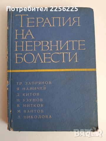 Терапия на нервните болести