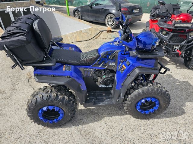 ATV BULLMAX INTRUDER 250CC, Лебедка, R/N/D Автоматик, FULL Екстри,, снимка 12 - Мотоциклети и мототехника - 45075903