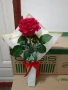 букети с изкуствена роза кадифена , снимка 4