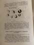 Пчеловъдство и болести по пчелите 1938 г. Александър Тошково пчелите 1938 г. Александър Тошков, снимка 6