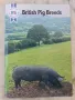 British pig breeds handbook, снимка 1