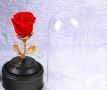 Роза в стъкленица с LED светлина, снимка 1 - Лед осветление - 45401069