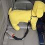 Seatbelt - обезопасителен колан за куче при превоз с кола, заключва се към стандартна закопчалка на , снимка 1 - За кучета - 45797784