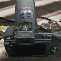 Panasonic Lumix DMC-FZ100, снимка 7 - Фотоапарати - 45024767