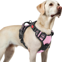 Нагръдник за кучета rabbitgoo мек подплатен, с катарама за освобождаване на врата, розов, L и XL, снимка 1 - За кучета - 45048327