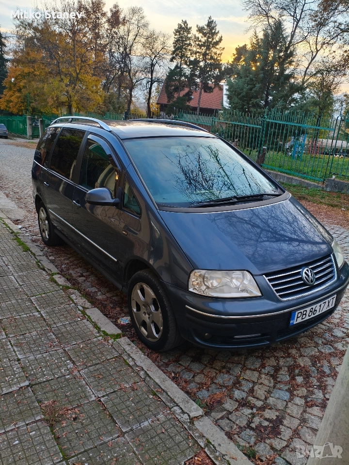 шаран, снимка 1