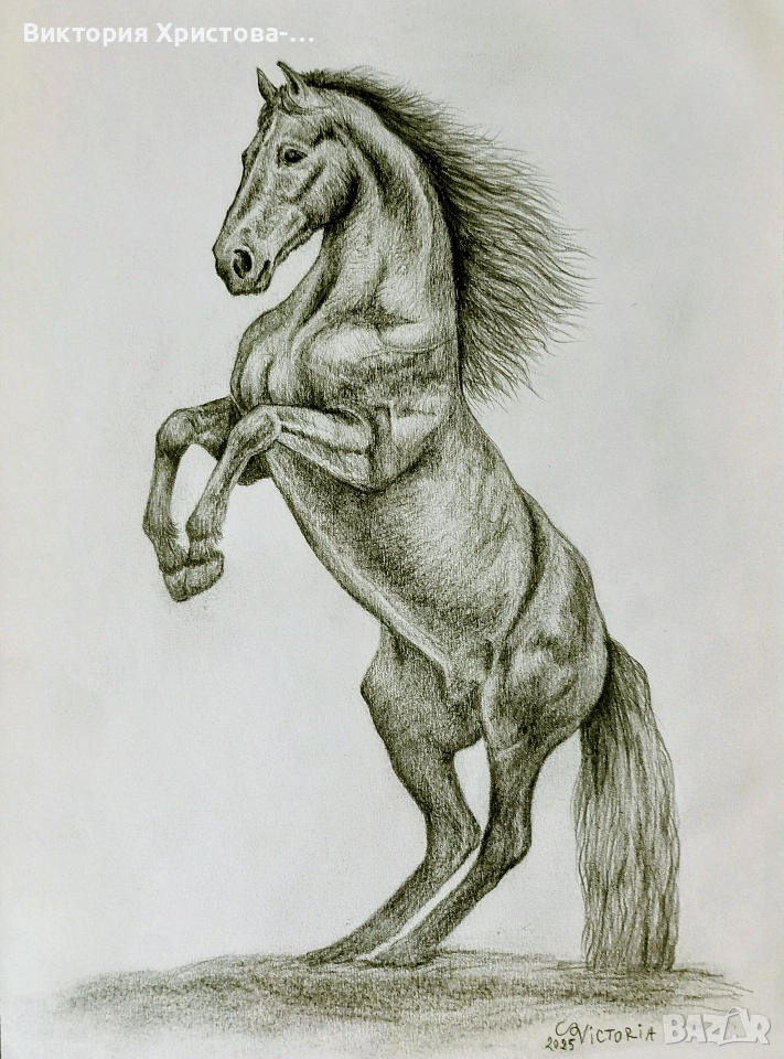 Картина Кон с молив, снимка 1