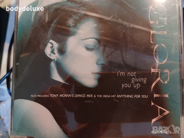 макси сингли аудио дискове, снимка 18 - CD дискове - 46741271